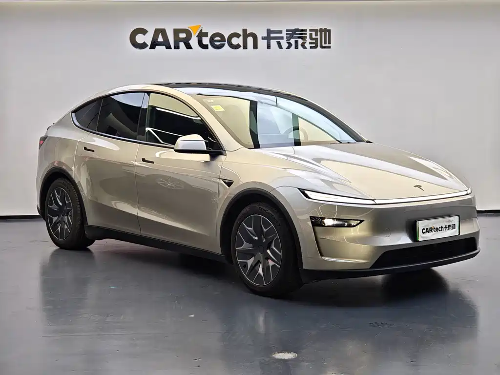 Tesla Model Y L — миниатюра 3