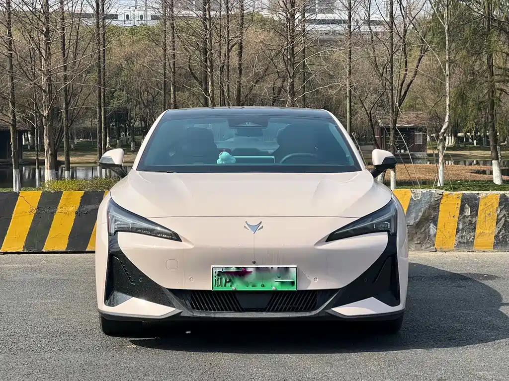 ARCFOX EXTREME FOX POLAR FOX ALPHA S5