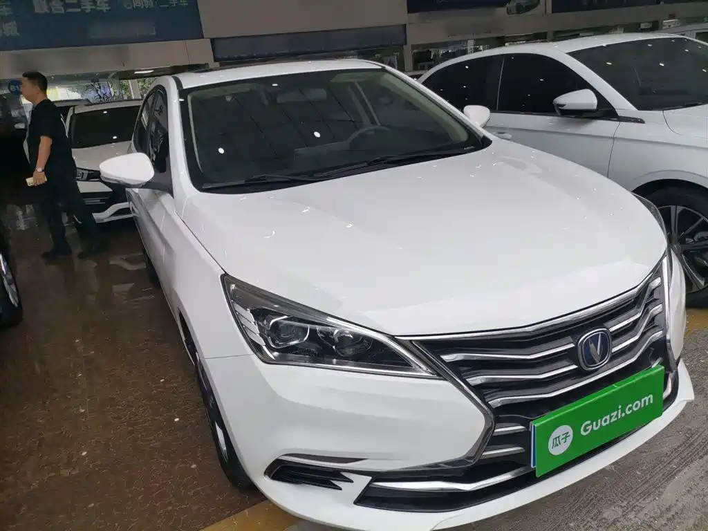 CHANGAN YIDONG DT