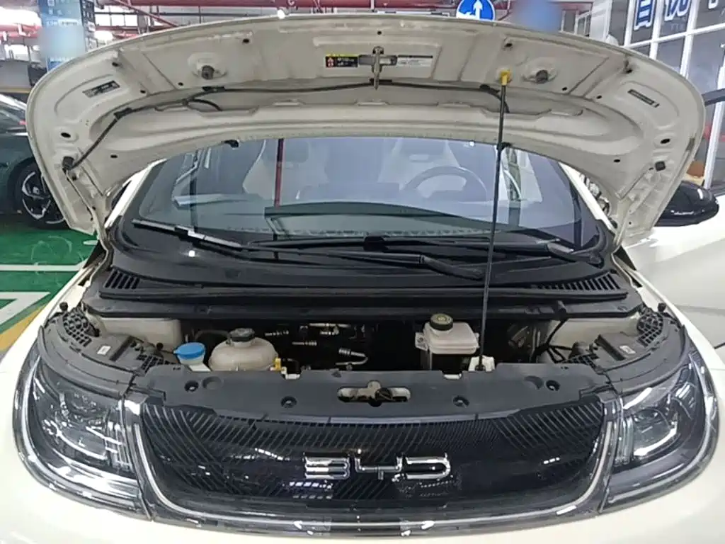 BYD Dolphin — миниатюра 20