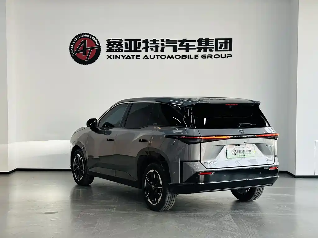 TOYOTA PLATINUM WISDOM 3X