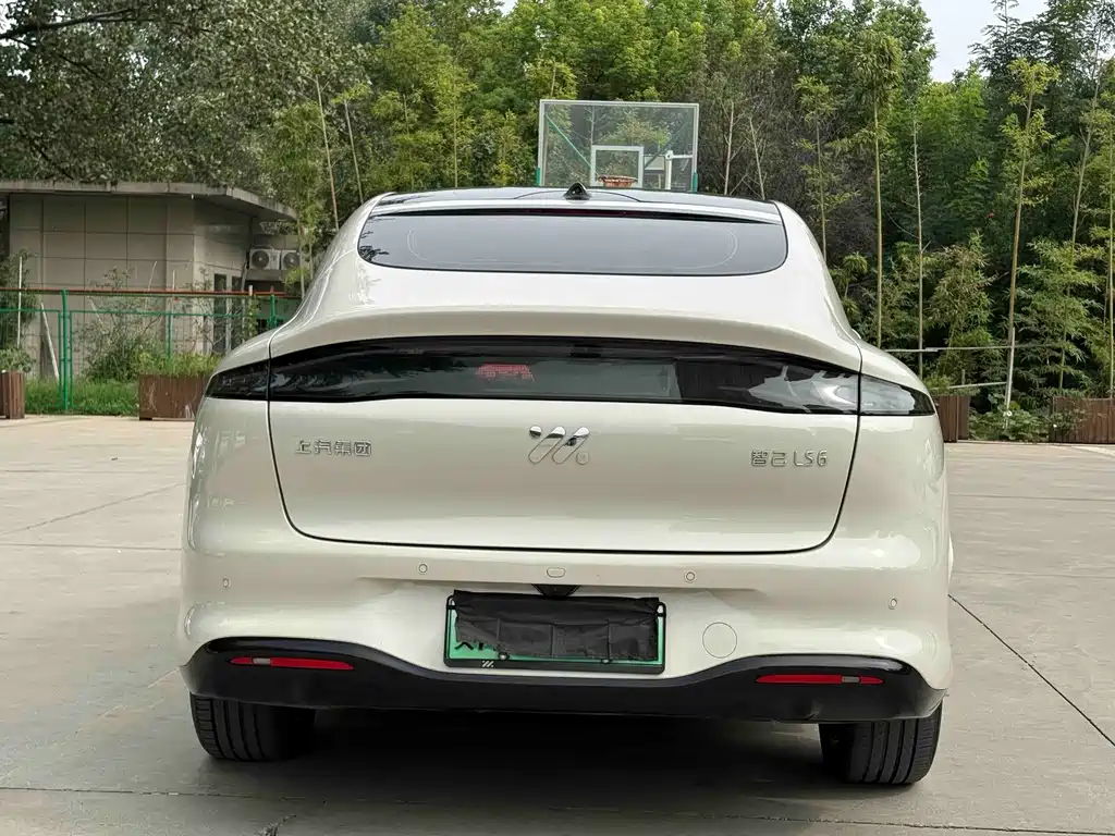 IM IM LS6 — миниатюра 9