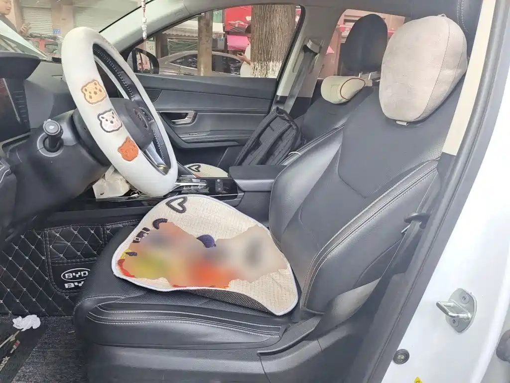 BYD Pro — миниатюра 16
