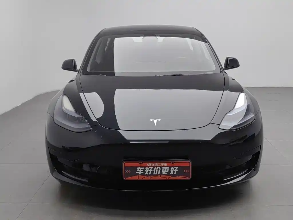 Tesla Model 3 — миниатюра 3