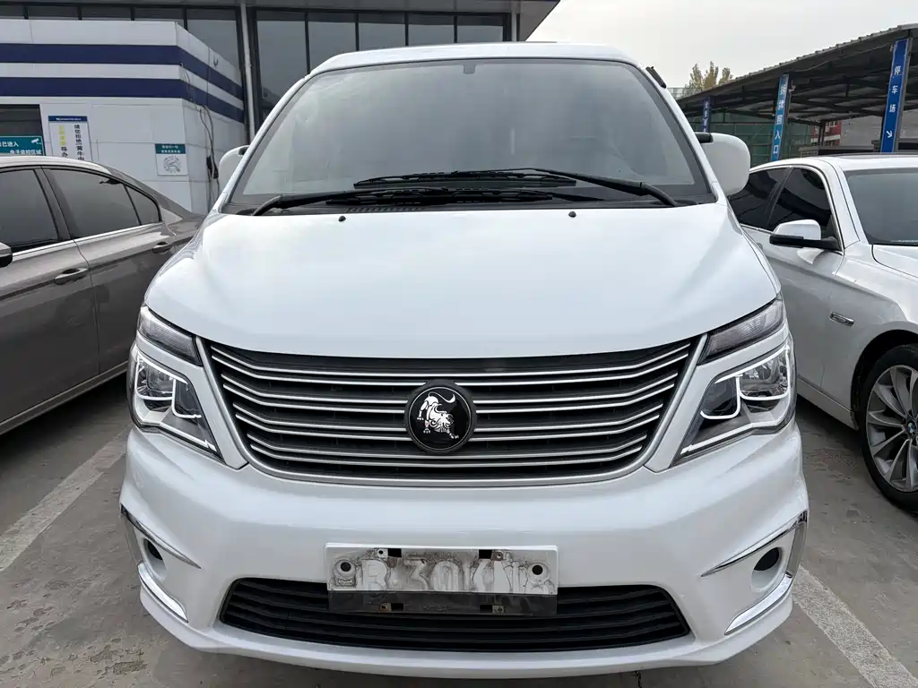 DONGFENG LINGZHI