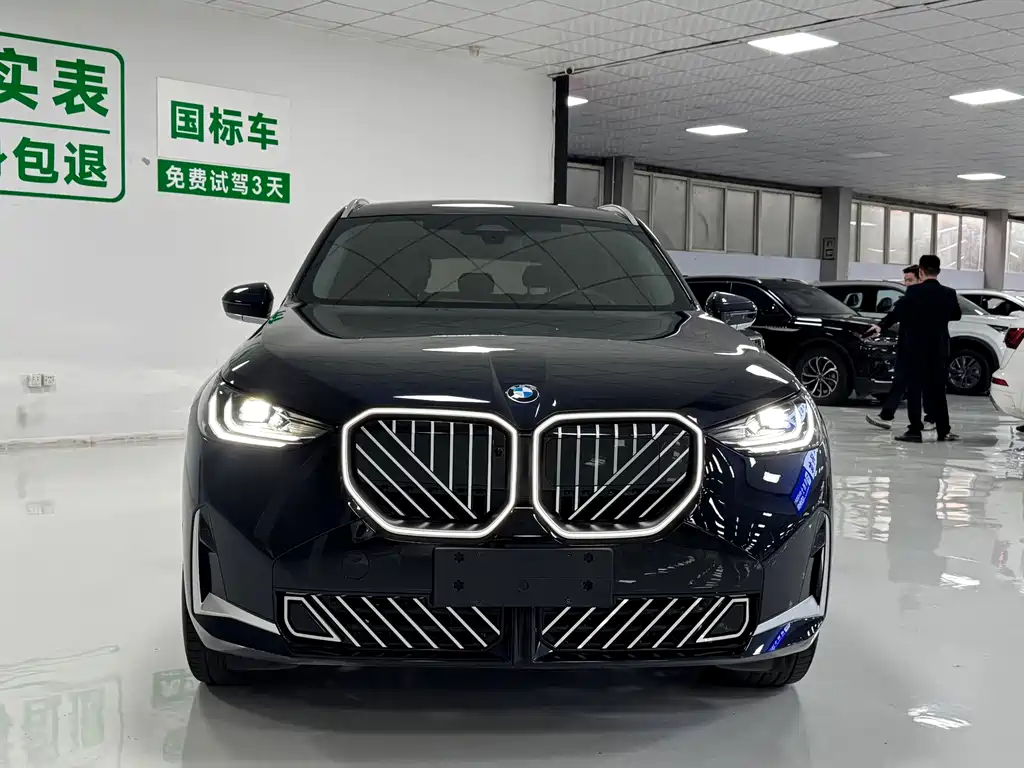 BMW X3 — миниатюра 2