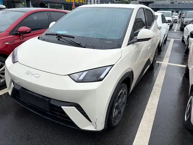 2024 BYD Seagull