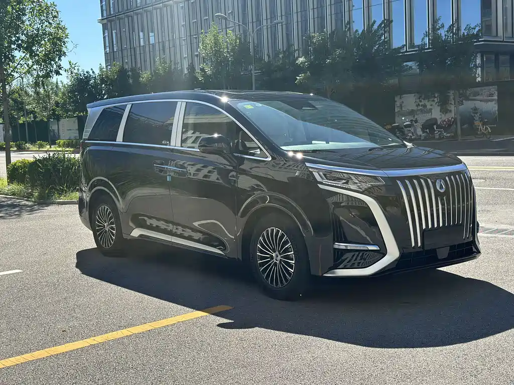 Denza Denza D9 — миниатюра 3