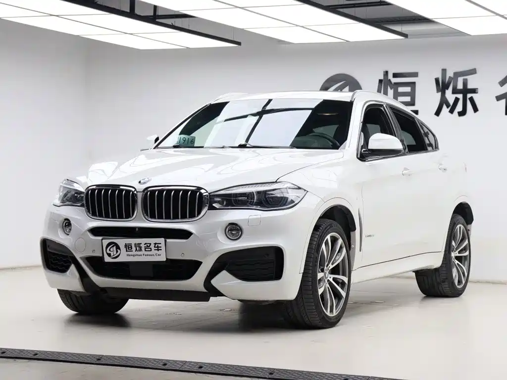 BMW X6 — миниатюра 32