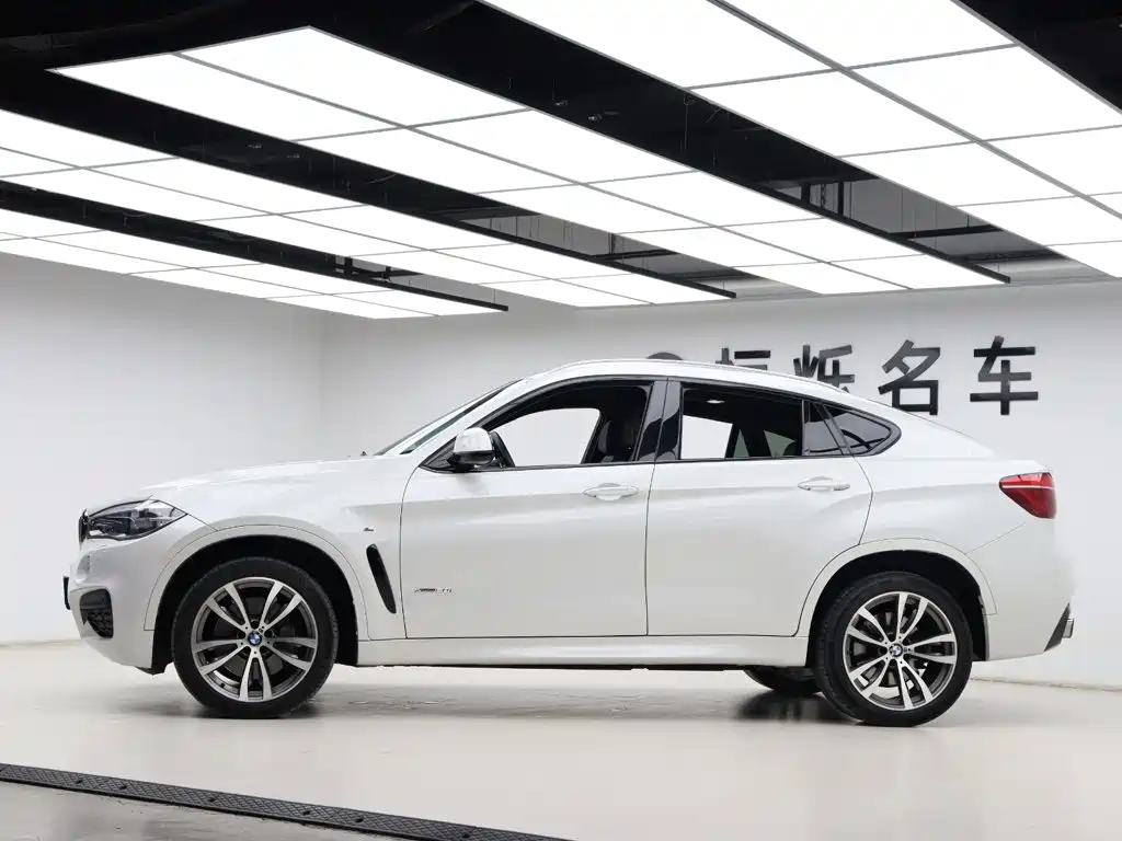 BMW X6 — миниатюра 34