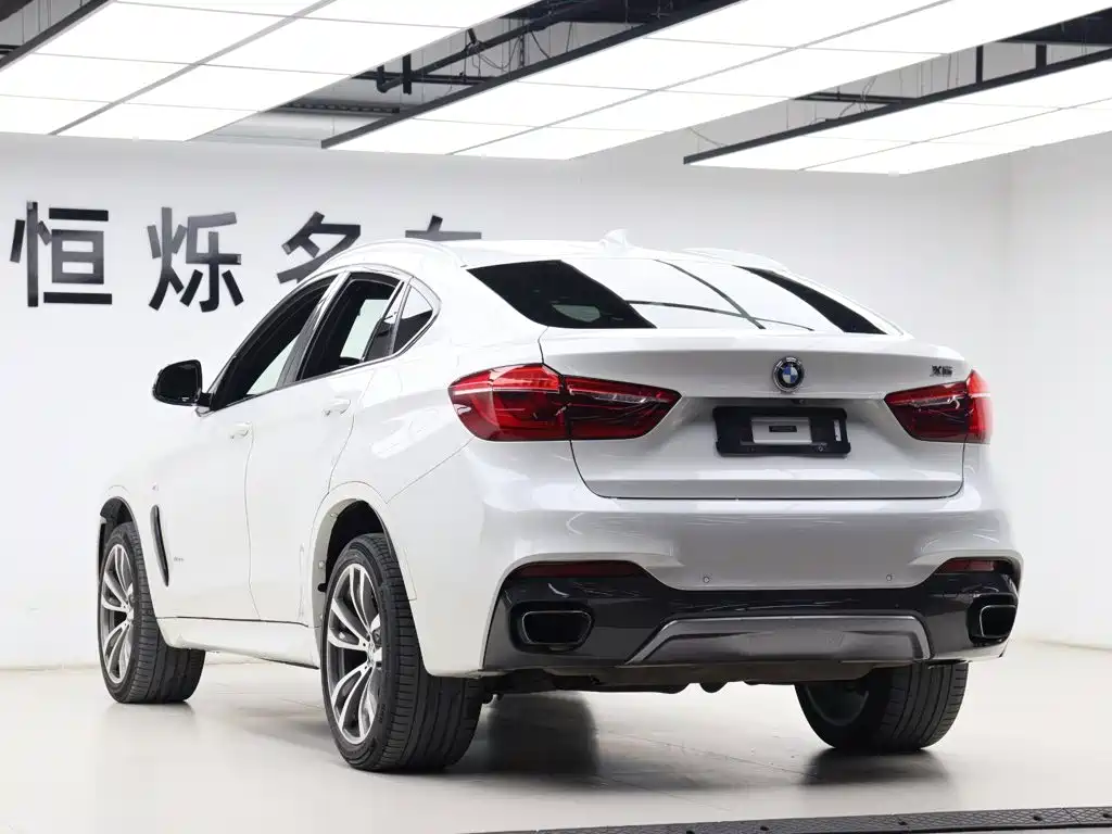 BMW X6 — миниатюра 27