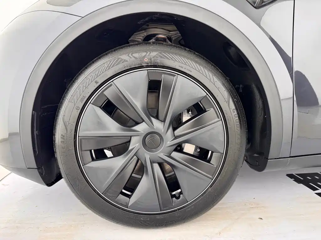 Tesla Model Y — миниатюра 15