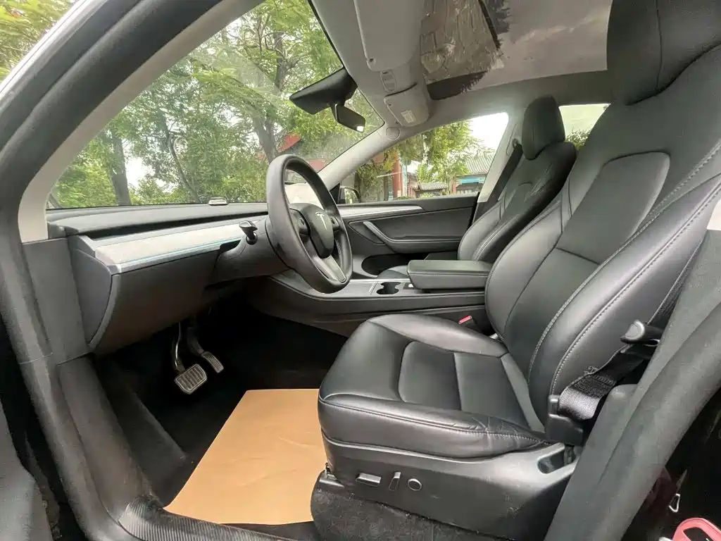 Tesla Model Y — миниатюра 4