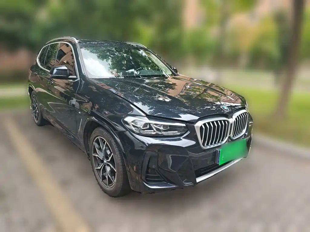 BMW X3 — миниатюра 24