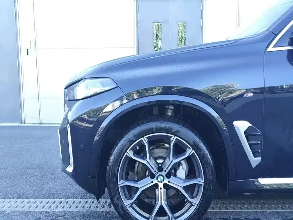 BMW X5 — миниатюра 6