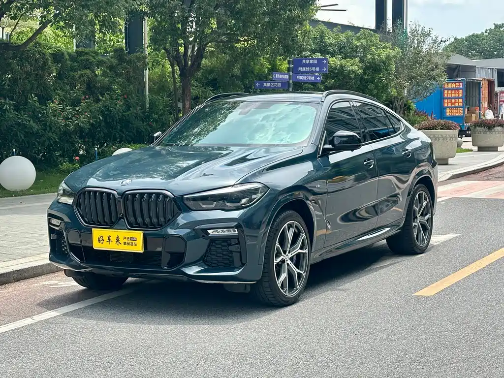 BMW X6 2022