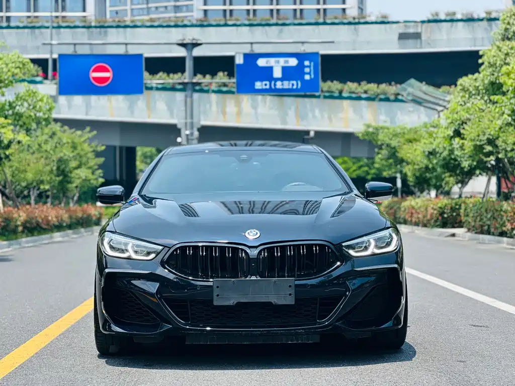 BMW 8 Series — миниатюра 2