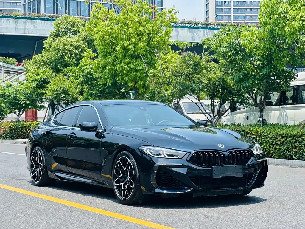 BMW 8 Series — миниатюра 3