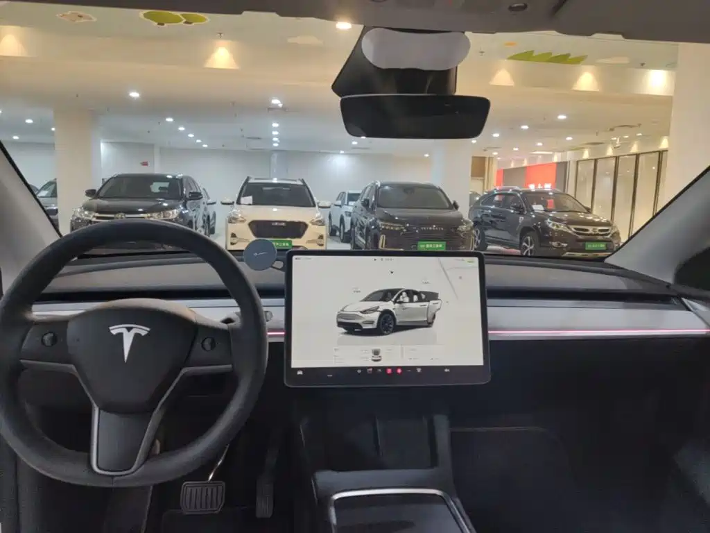 Tesla Model Y — миниатюра 5