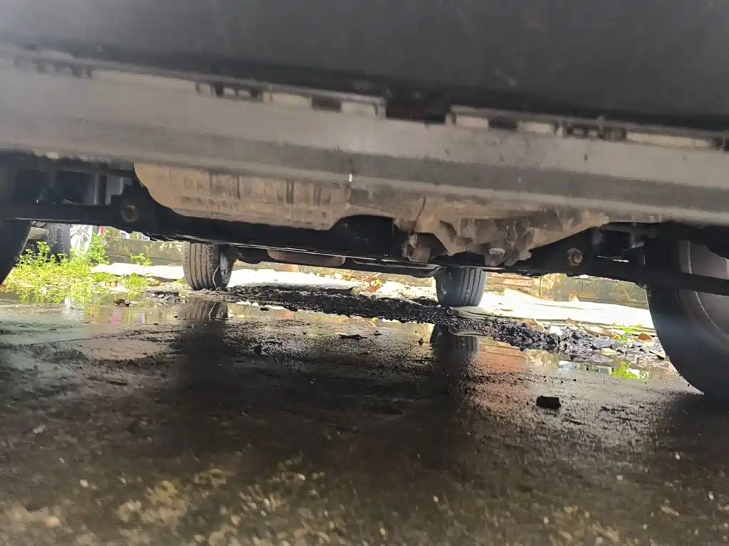 Ford Ecosport — миниатюра 21