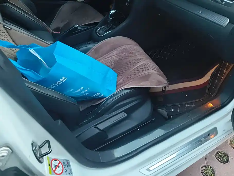 Volkswagen Golf (Import) — миниатюра 8