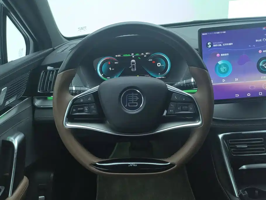 BYD Tang New Energy — миниатюра 15