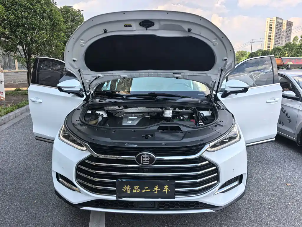 BYD Tang — миниатюра 18
