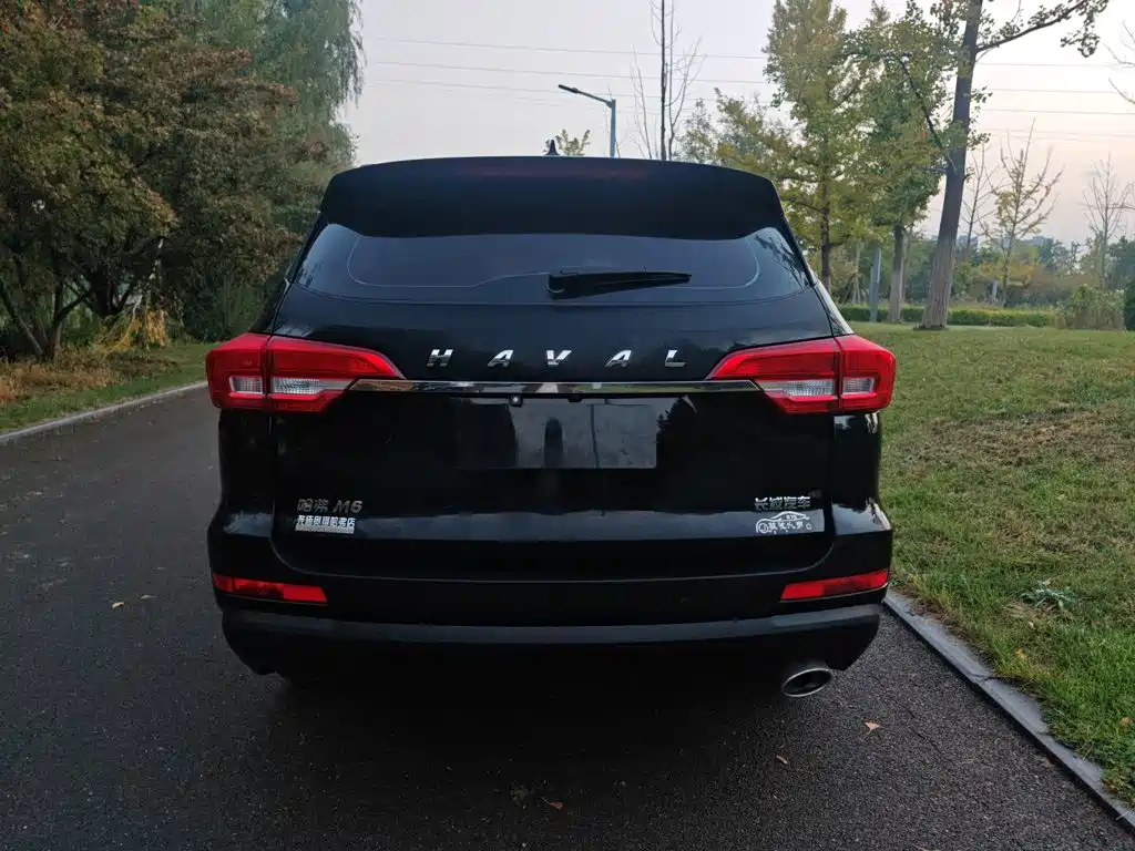 Haval M6 — миниатюра 7
