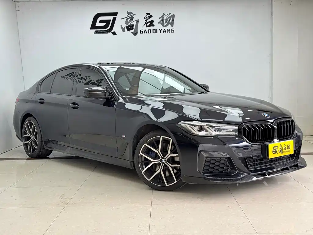 BMW 5 Series (Import) — миниатюра 3