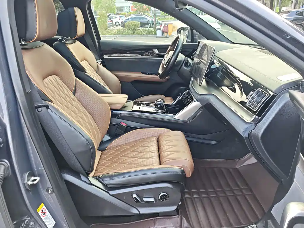 BYD Tang New Energy — миниатюра 15
