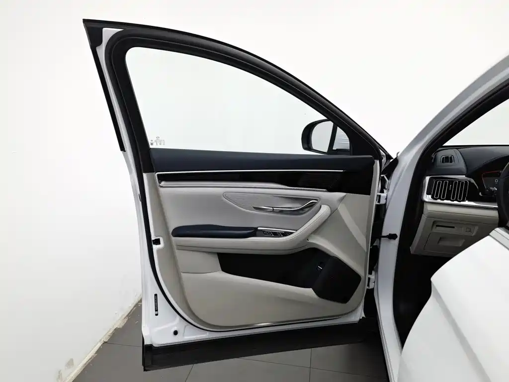 BYD PLUS New Energy — миниатюра 8