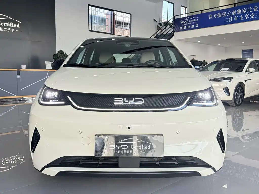 BYD Dolphin — миниатюра 2