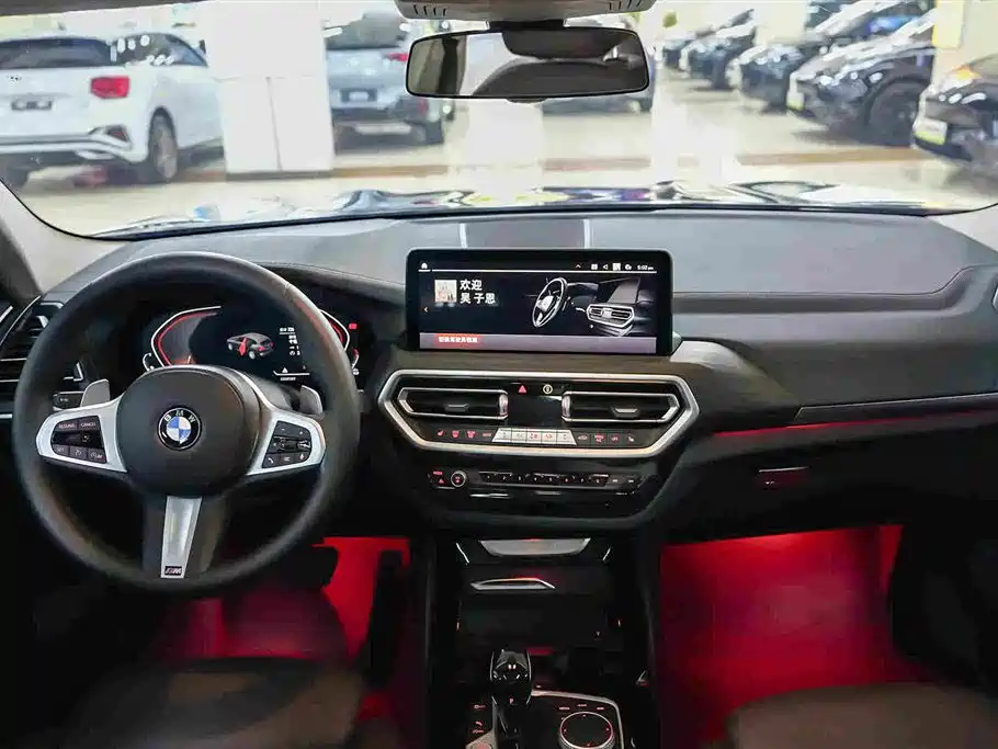 BMW X3 — миниатюра 7