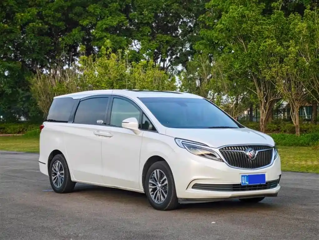 Buick GL8 2018 ES 28T Luxury VI