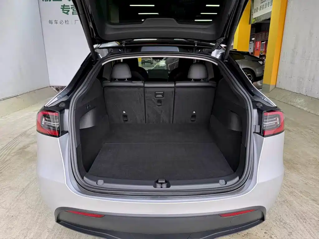 Tesla Model Y — миниатюра 18