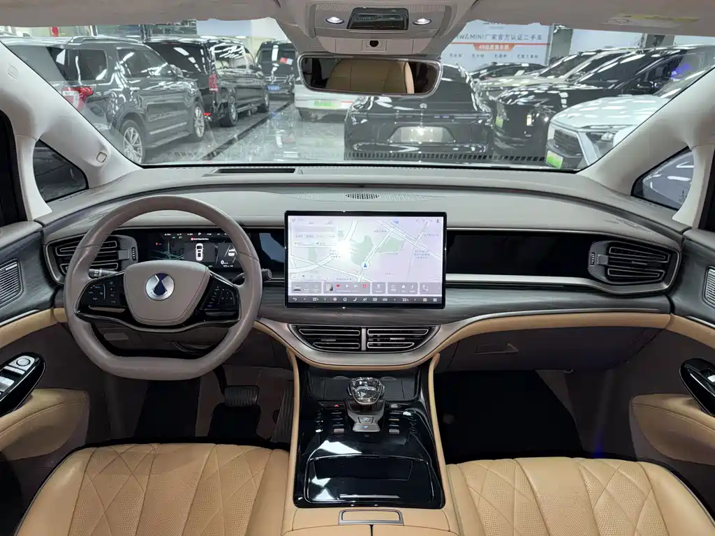 Denza Denza D9 — миниатюра 16
