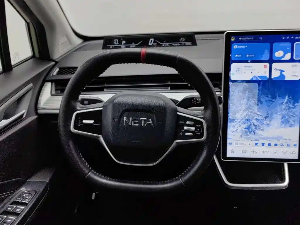 Neta Neta V — миниатюра 11