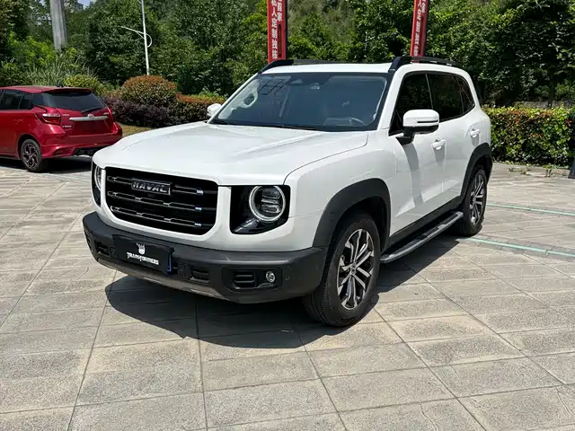 2021 Haval Big Dog