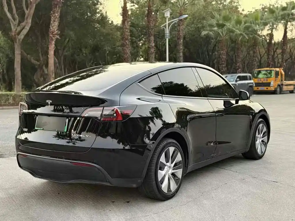 Tesla Model Y — миниатюра 7