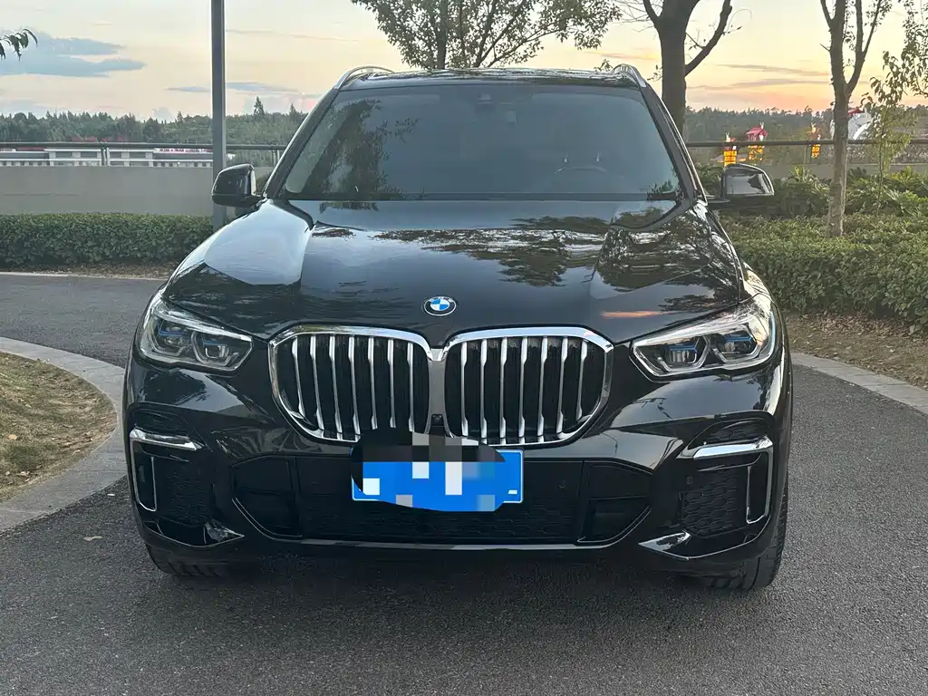 BMW X5 — миниатюра 2