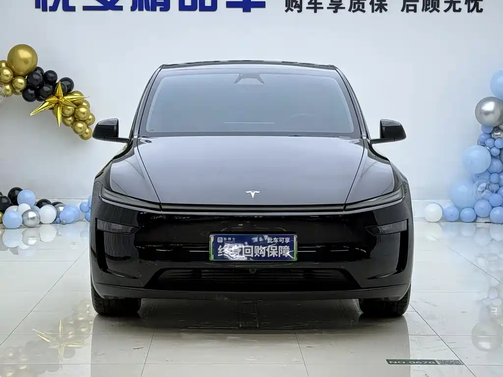 Tesla Model Y — миниатюра 2