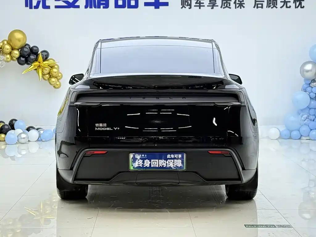 Tesla Model Y — миниатюра 8