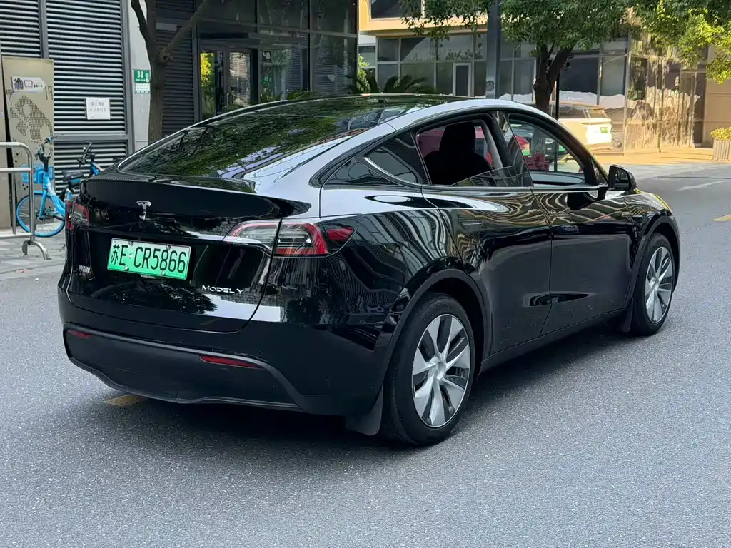 Tesla Model Y — миниатюра 7