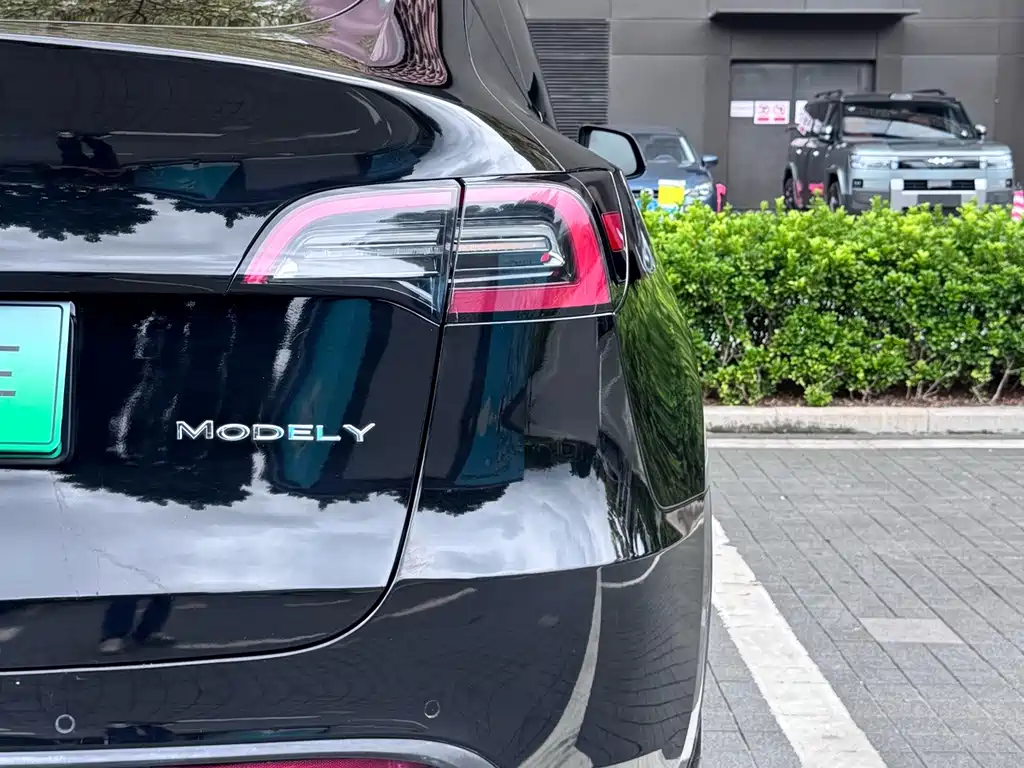 Tesla Model Y — миниатюра 10