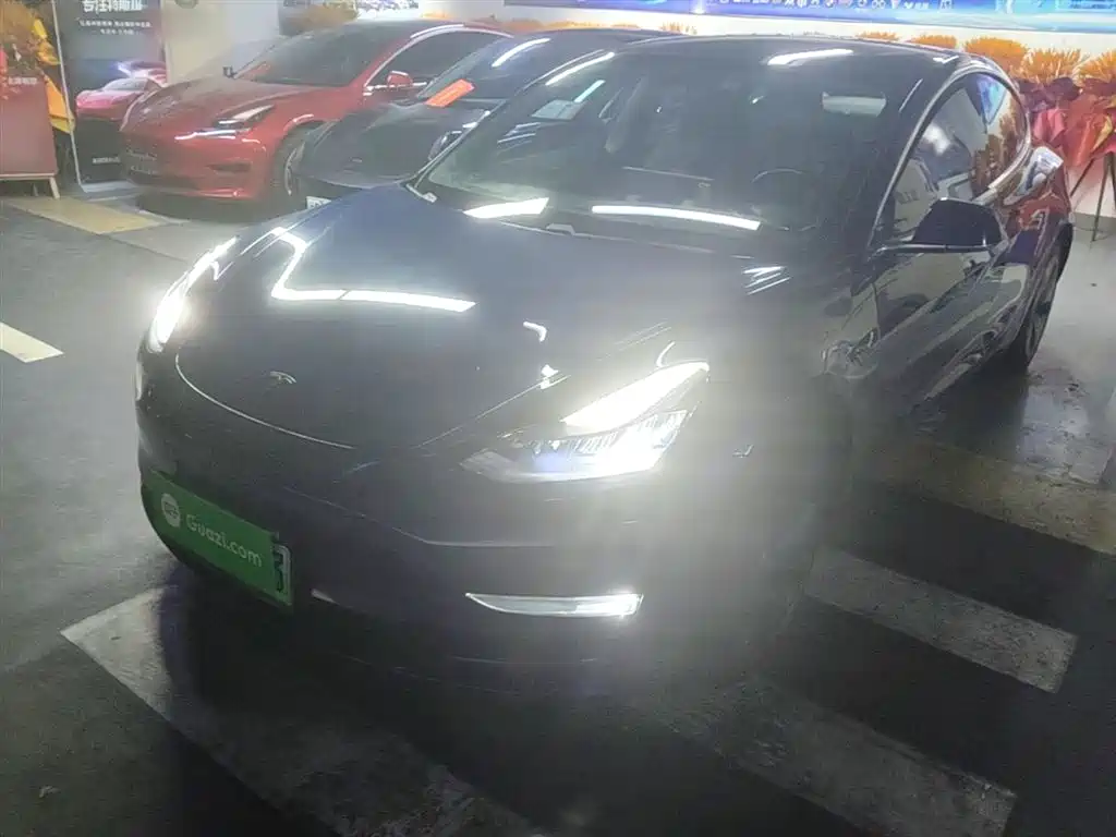 Tesla Model 3 2019