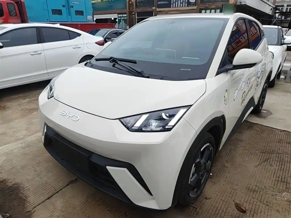 Byd Seagull 2024