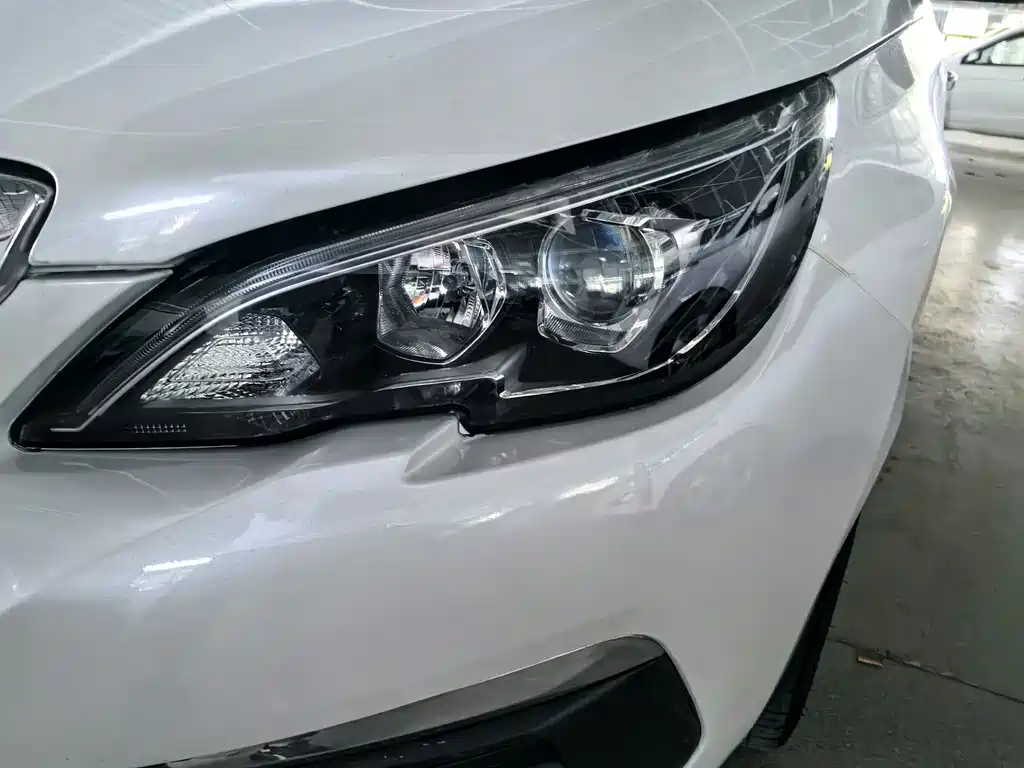 Peugeot 308 1.6L Auto Luxury Edition, фото 5