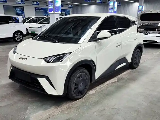 2024 BYD Seagull