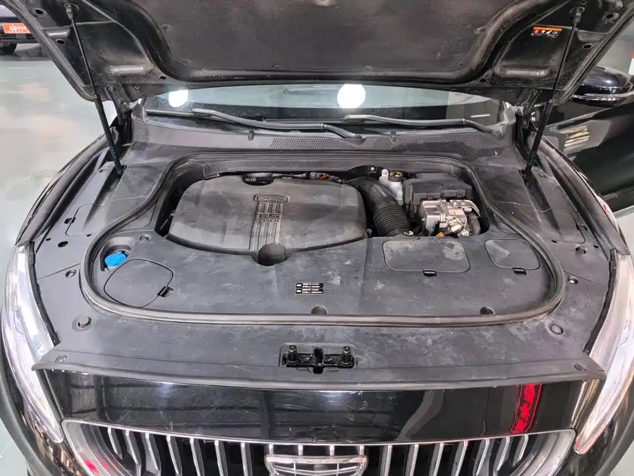 Geely Borui Hybrid — миниатюра 10