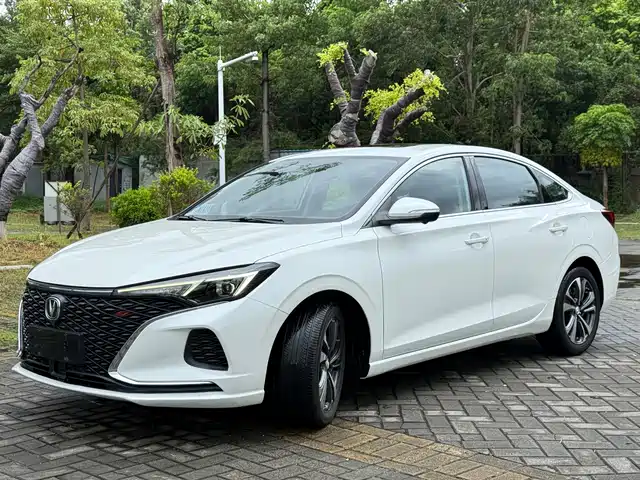 CHANGAN YIDONG 2020